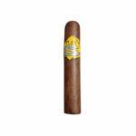 Charuto Plan S Robusto