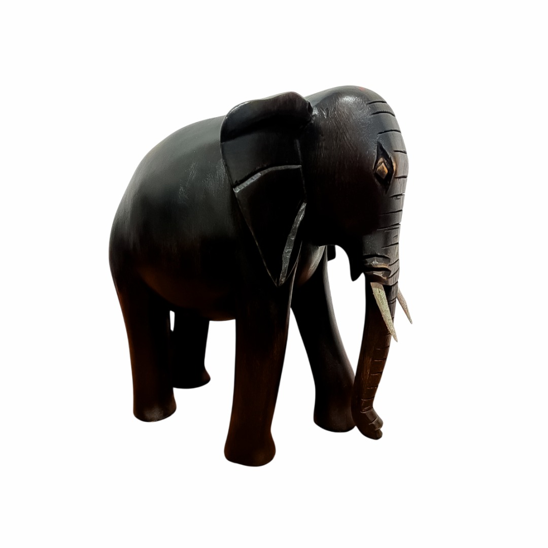 WhatsApp Image 2026-01-27 at 16.53.43