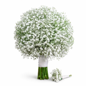 Buquê de Gipsofilas Naturais para Noivas