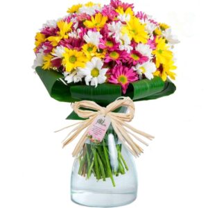 Buquês de Margaridas Naturais P