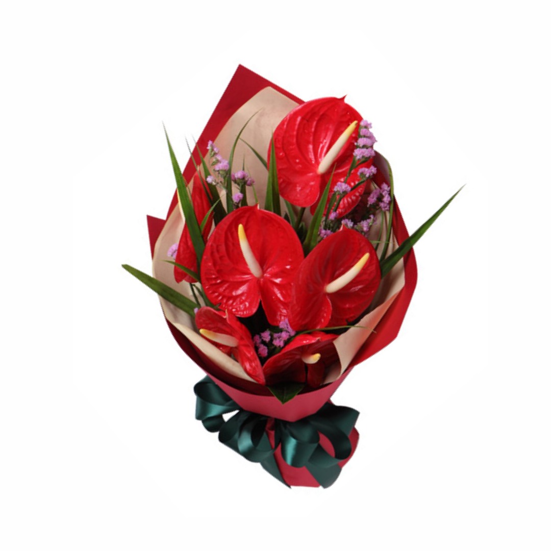 WhatsApp Image 2026-03-26 at 08.49.52